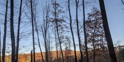 Clear Creek Vacation Land