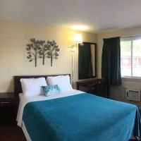 Swiss Cottage Inn ico
