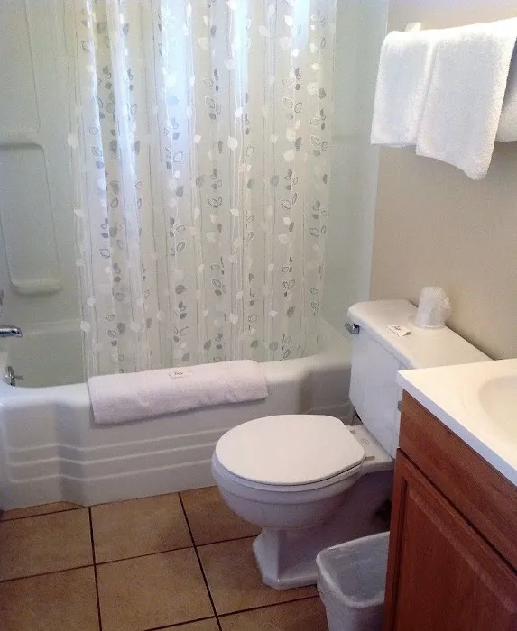 Swiss Cottage Inn 4