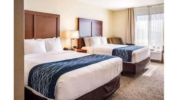 Comfort Inn & Suites Niagara Falls Blvd USA 4