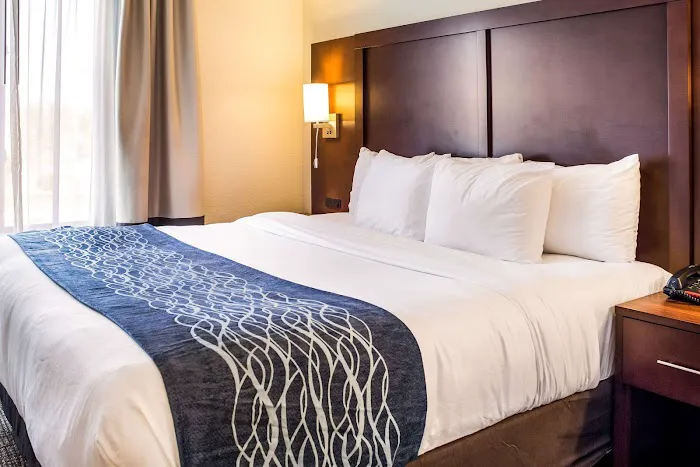 Comfort Inn & Suites Niagara Falls Blvd USA 4
