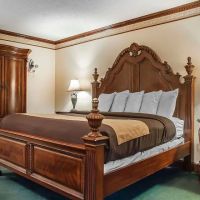 Econo Lodge at the Falls North ico