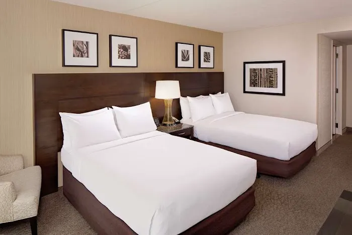 DoubleTree by Hilton Boston Bayside 5