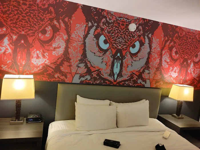 Studio Allston Hotel 5
