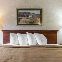 Quality Inn & Suites ico