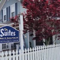 The Suites @ Bemus Point ico