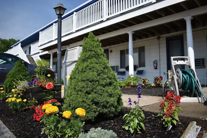 Oxcart Motel 4