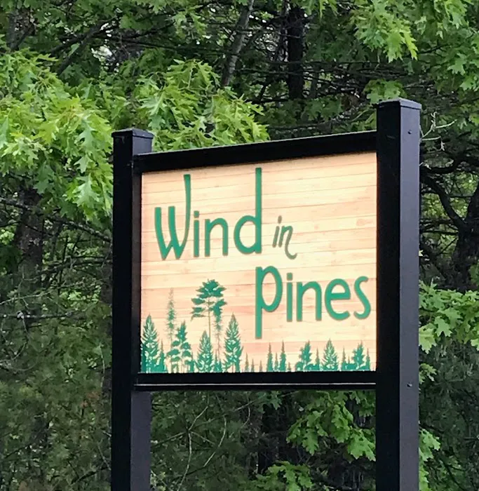 Wind in Pines 4