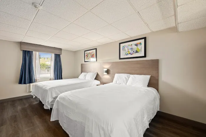 The Elmwood 4