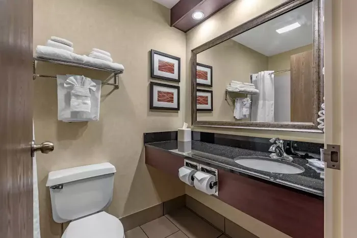 Comfort Inn Civic Center 4
