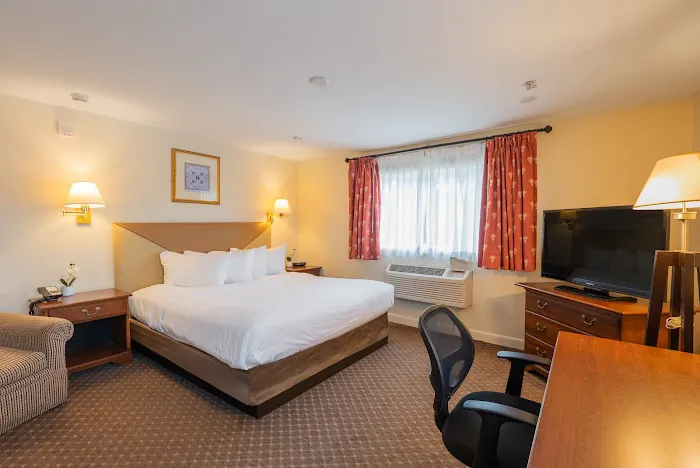 Senator Inn & Spa 4