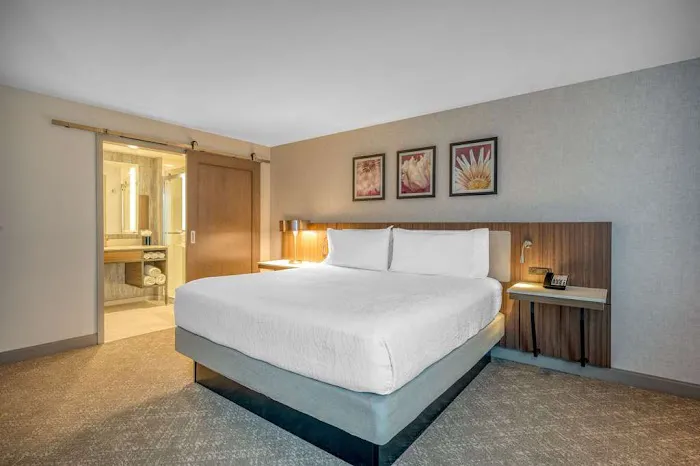 Hilton Garden Inn Boston Logan Airport 5