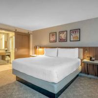 Hilton Garden Inn Boston Logan Airport ico