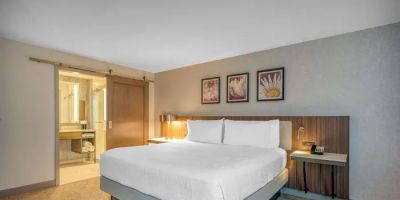 Hilton Garden Inn Boston Logan Airport