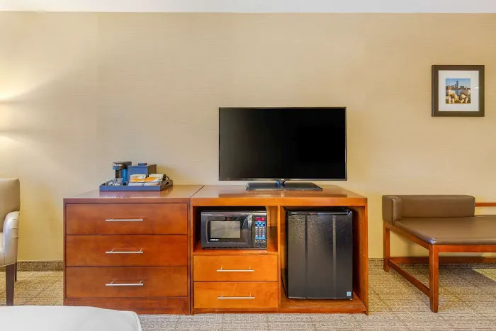 Comfort Inn & Suites Logan International Airport 4