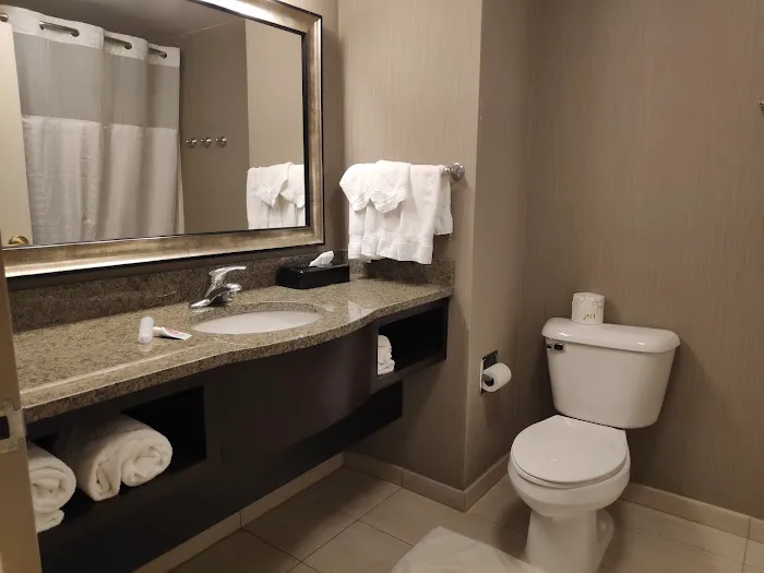 Comfort Inn & Suites Logan International Airport 4