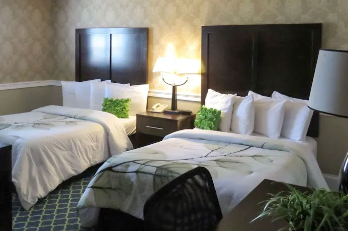 Rodeway Inn Logan International Airport 4