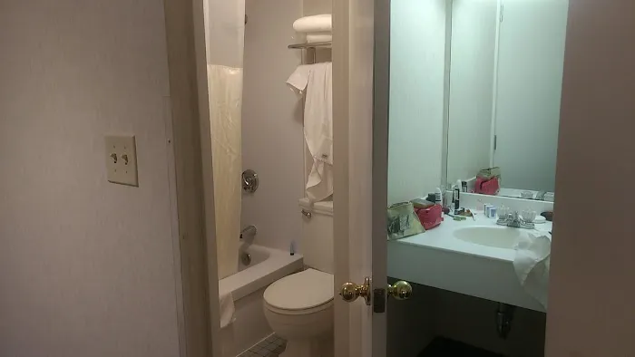 The Midtown Hotel 5