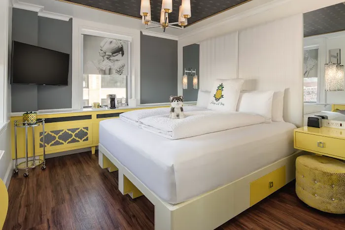 Staypineapple, A Delightful Hotel, South End Boston 5