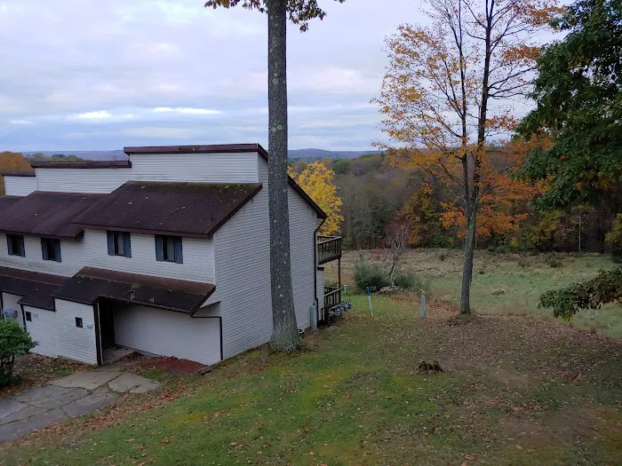Silverwoods and Wolf Run Manor at Treasure Lake 4