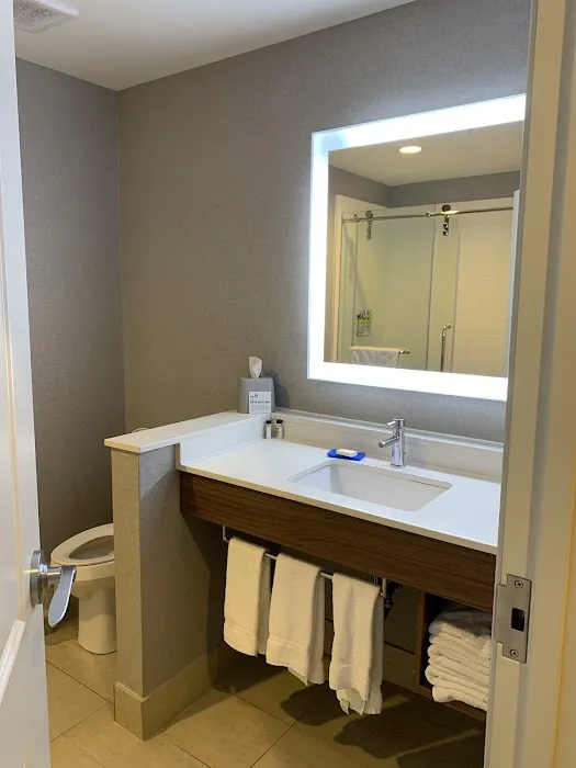 Holiday Inn Express Grand Island - Niagara Falls by IHG 3
