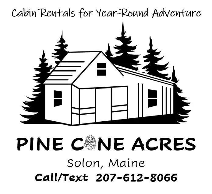 Pine Cone Acres Cabins 4