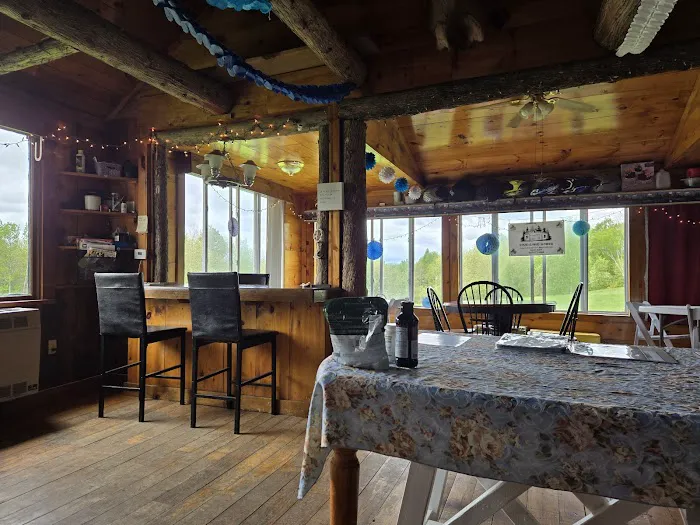 Pine Cone Acres Cabins 4