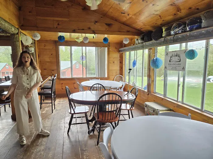 Pine Cone Acres Cabins 4
