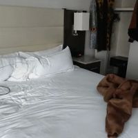 Park Place Hotel ico