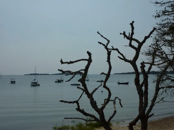 Cape Cod Harbor House Inn 5