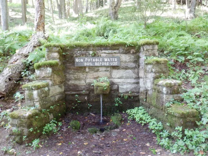 Danner campground (Clear Creek State Forest) 3