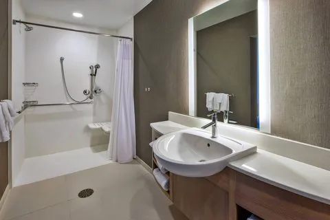 SpringHill Suites Pittsburgh Butler/Centre City 4