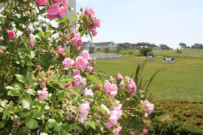 Seaside Inn 4