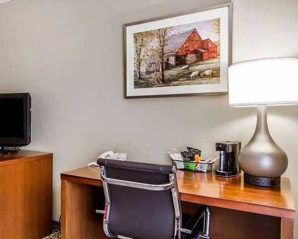 Comfort Inn Brunswick 5