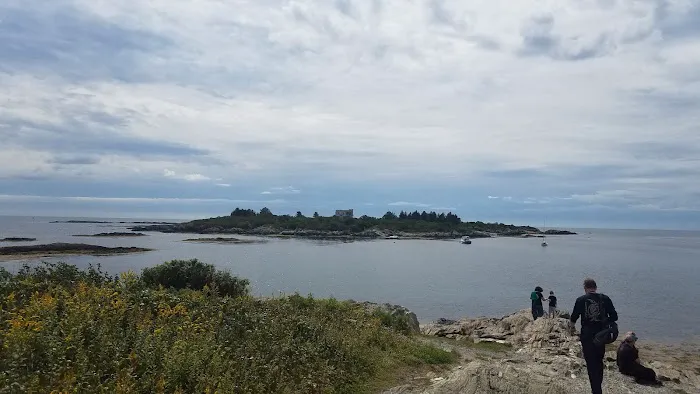 Log Cabin Island Inn 5