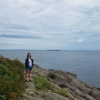 Log Cabin Island Inn ico