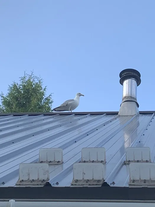 Gull's Rest 5