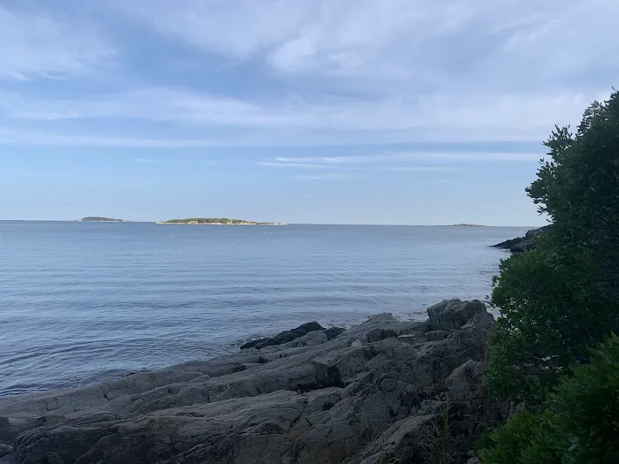 Gull's Rest 5