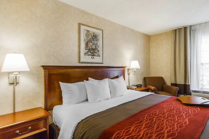 Comfort Inn Airport 4