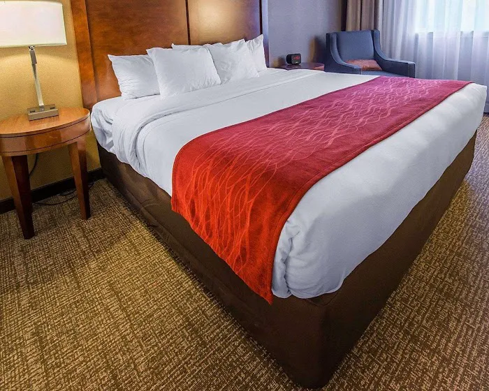 Comfort Inn & Suites 4