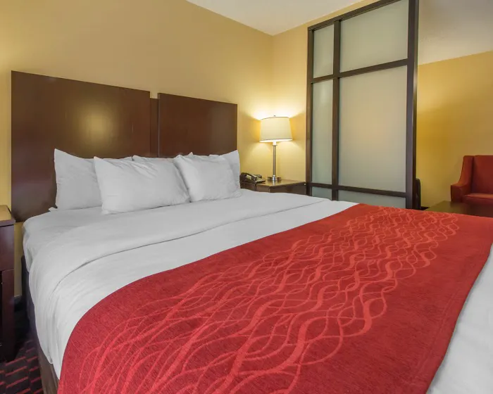 Comfort Suites 4