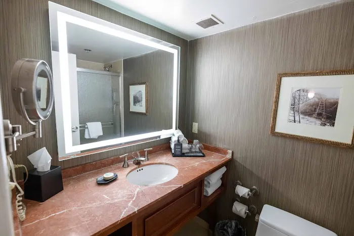 Sheraton Niagara Falls 4