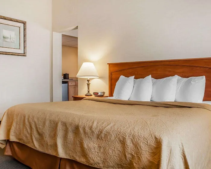 Quality Hotel & Suites At The Falls 4