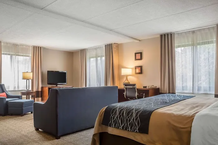 Comfort Inn The Pointe 4