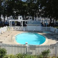 Pink Blossoms Resorts ico