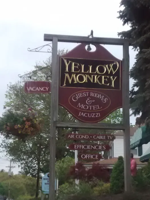 Yellow Monkey Guest Houses 4