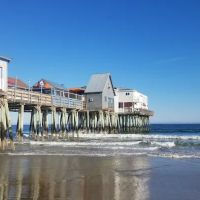 The Beachwood ico