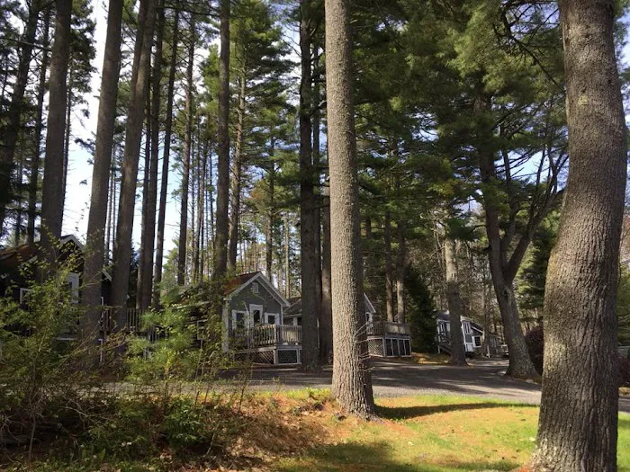 Pine Grove Cottages 4