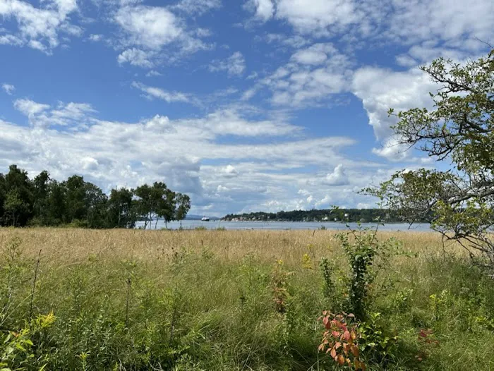 Tapley Farm Vacation Rental, Brooksville, Maine 4