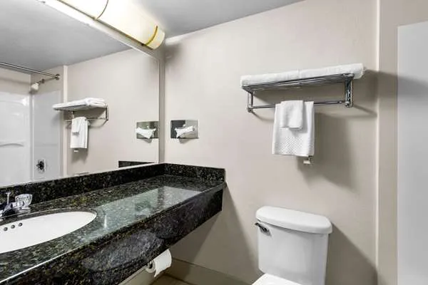 Quality Inn & Suites 4